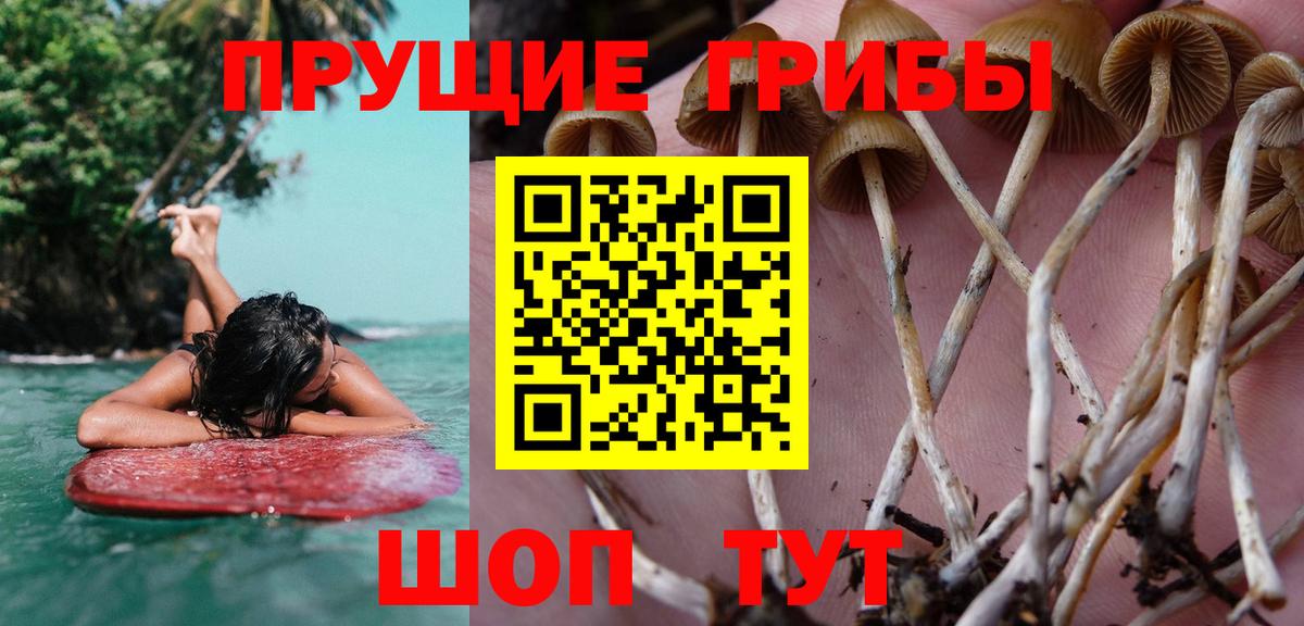 Псилоцибиновые грибы мухоморы Коммунар